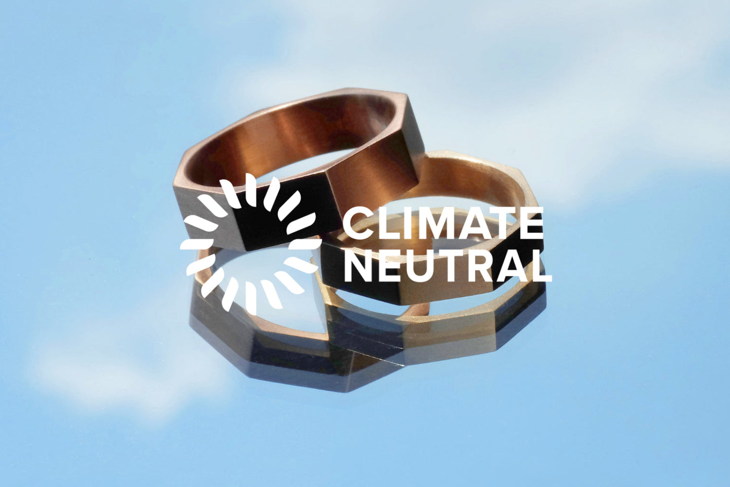 Announcing our Commitment to Carbon Neutrality